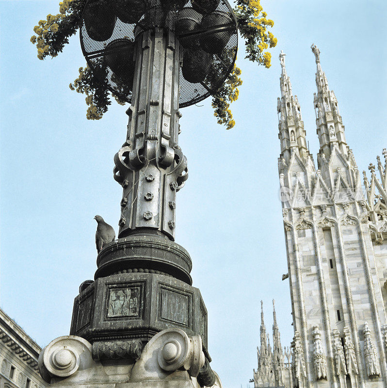 米兰大教堂(Il Duomo di Milano)上有花和一只鸽子